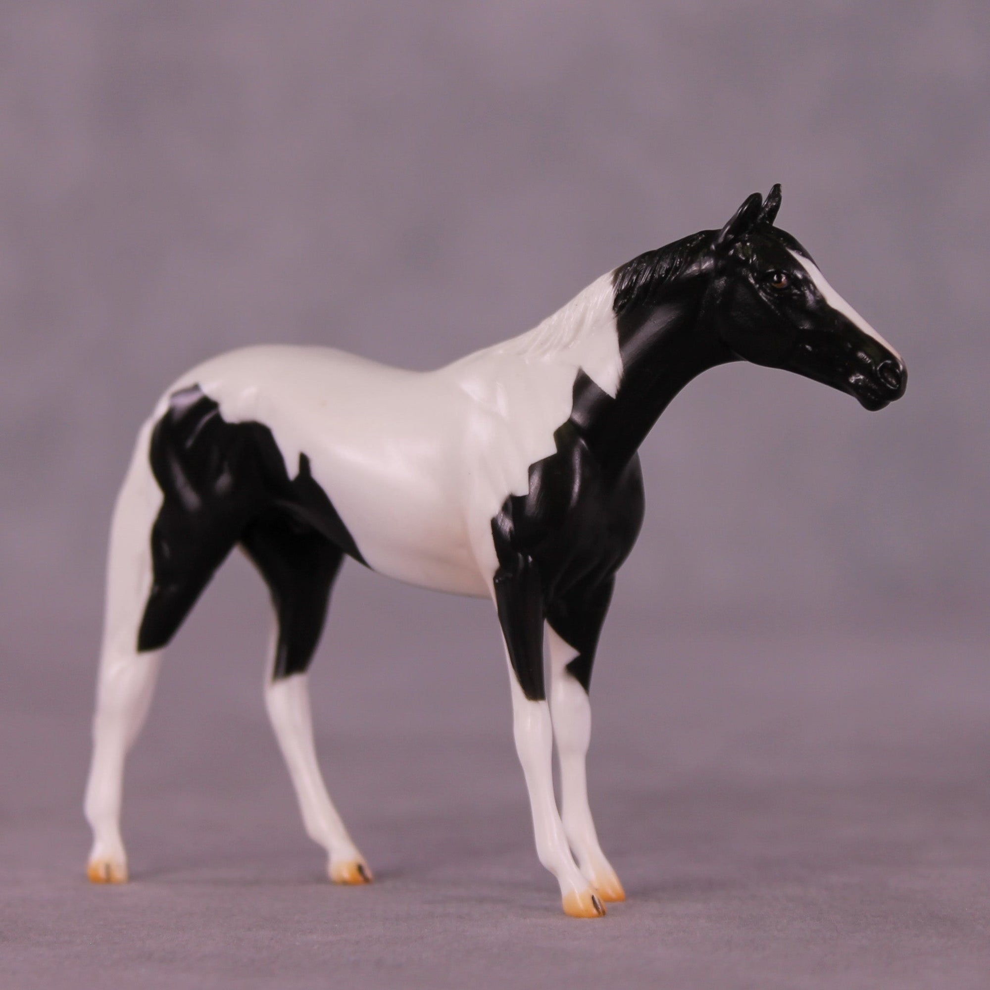 Still Water OOAK Chip Thoroughbred  by Carissa Mathews MM25 Group C