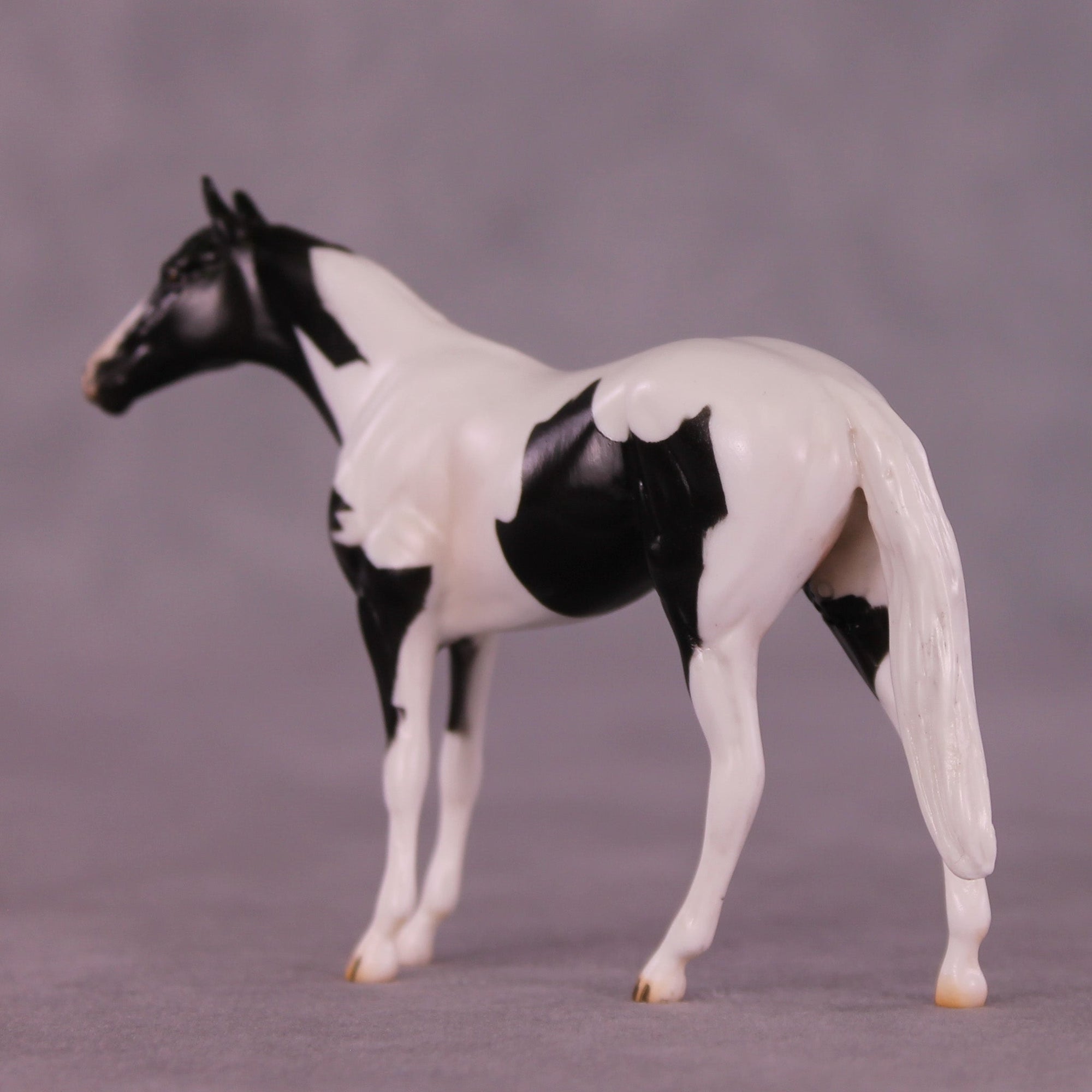 Still Water OOAK Chip Thoroughbred  by Carissa Mathews MM25 Group C