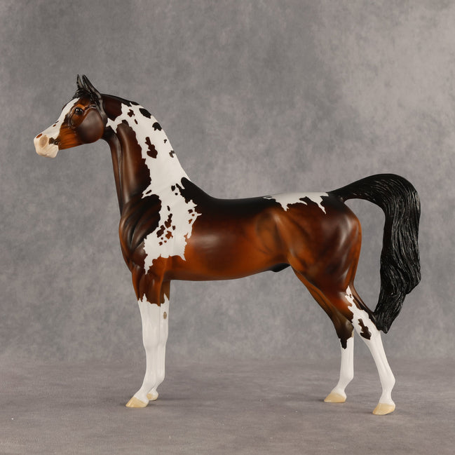 Stilton OOAK Arabian Stallion by Dawn Quick SHCF26