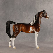Stilton OOAK Arabian Stallion by Dawn Quick SHCF26