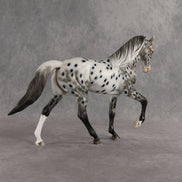 Storm Clouds OOAK Tennessee Walker by Dawn Quick SHCF26