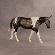 Storm OOAK Large Mule by Madi Wiseman EQ26