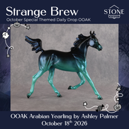 Strange Brew OOAK Arabian Yearling by Ashley Palmer DDOOAKs26