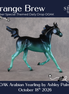 Strange Brew OOAK Arabian Yearling by Ashley Palmer DDOOAKs26