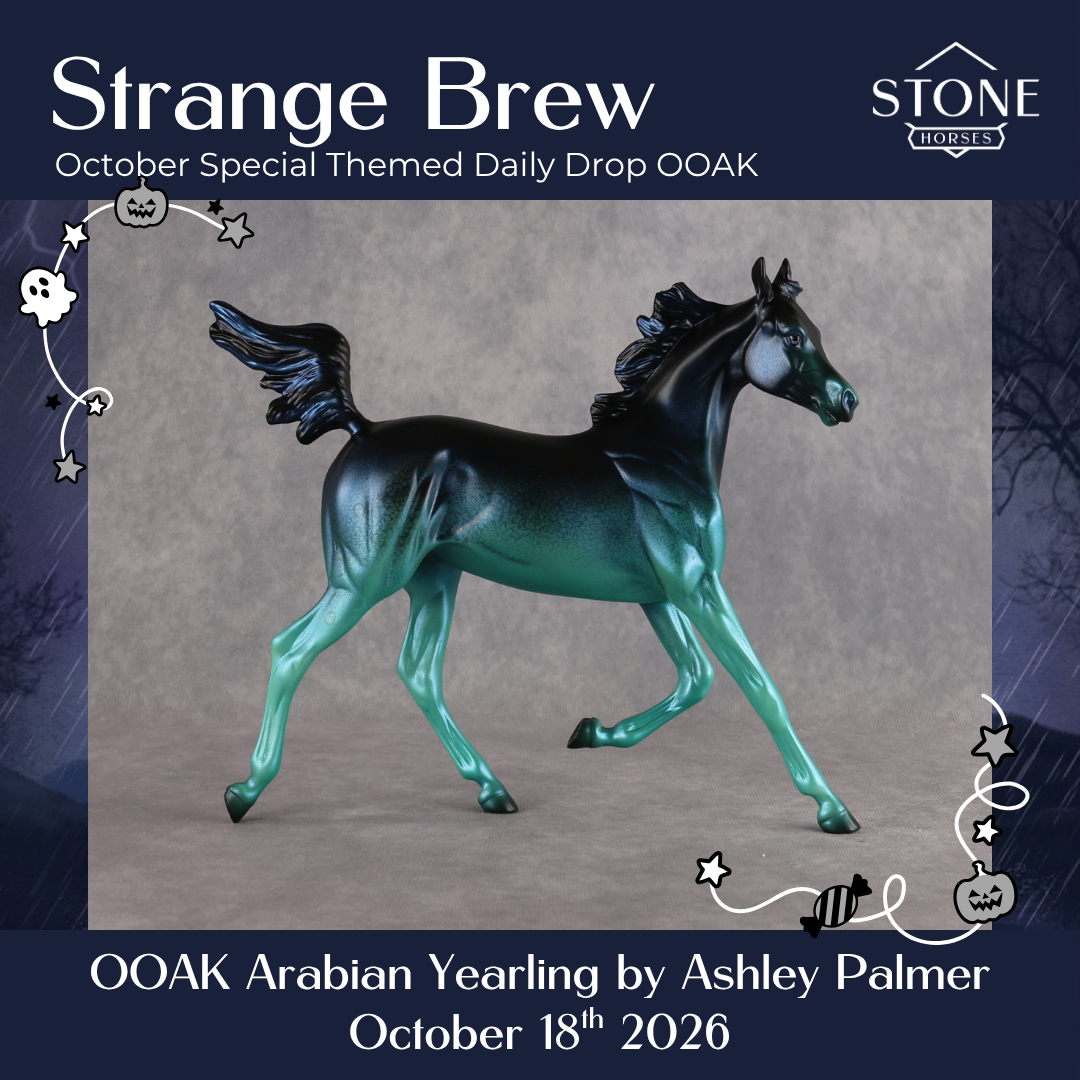 Strange Brew OOAK Arabian Yearling by Ashley Palmer DDOOAKs26