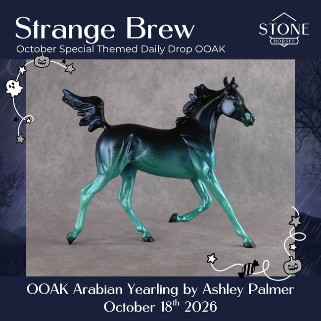 Strange Brew OOAK Arabian Yearling by Ashley Palmer DDOOAKs26
