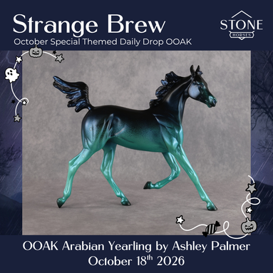 Strange Brew OOAK Arabian Yearling by Ashley Palmer DDOOAKs26