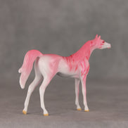 Strawberry Ripple OOAK Chip Arabian by Jess Hamill VV26