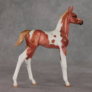 Strawberry Shake OOAK FCM Arabian Foal by Julie Keim VV26