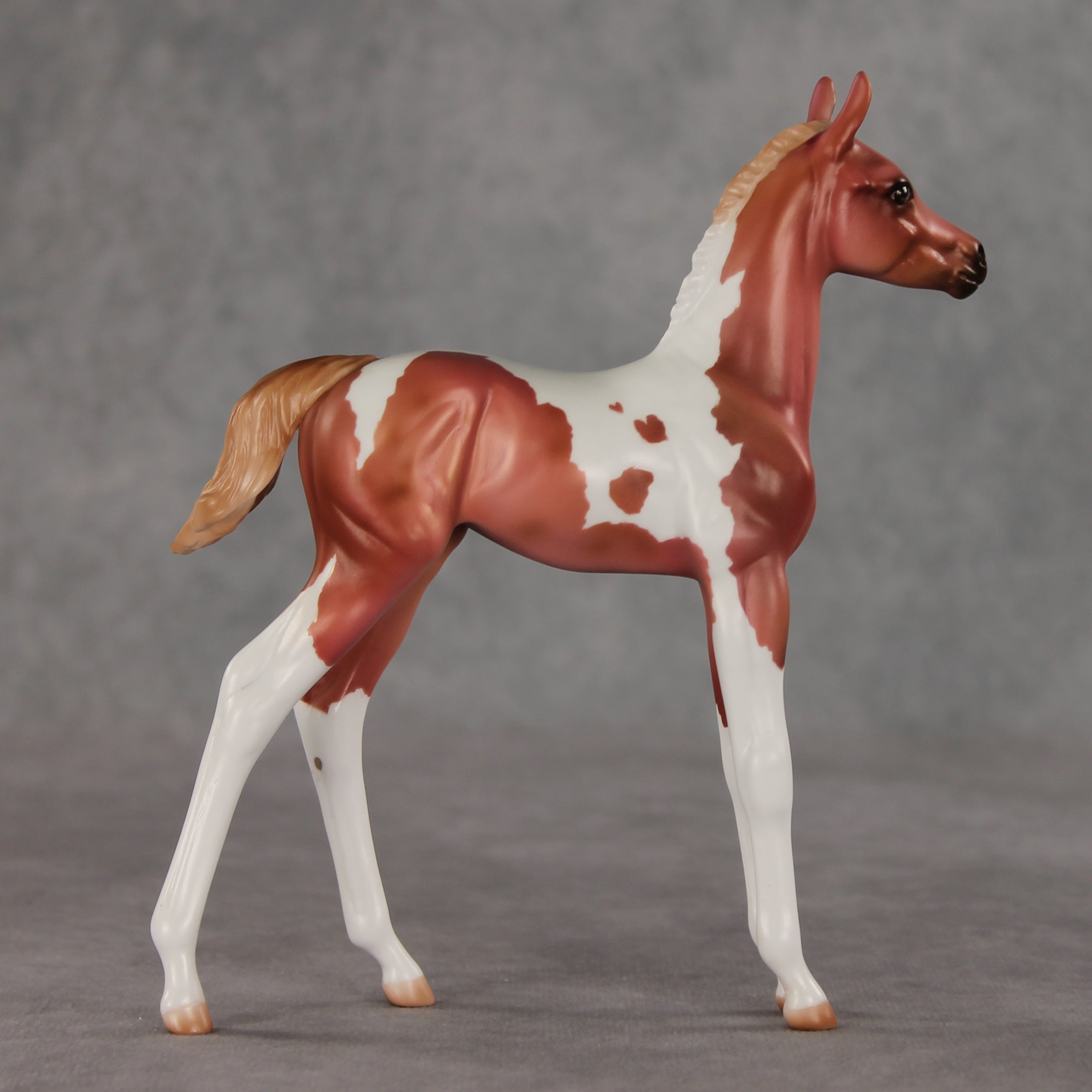 Strawberry Shake OOAK FCM Arabian Foal by Julie Keim VV26