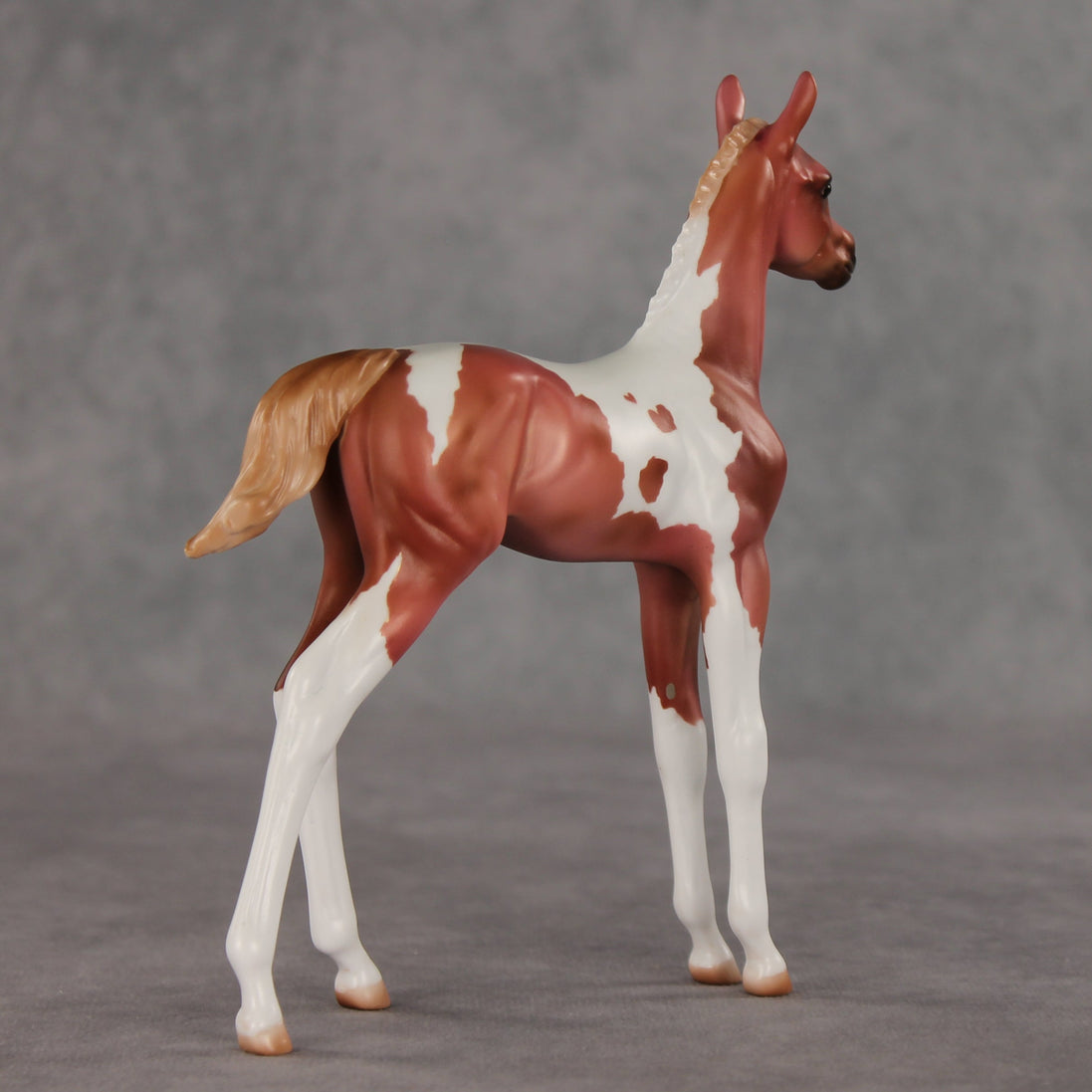 Strawberry Shake OOAK FCM Arabian Foal by Julie Keim VV26
