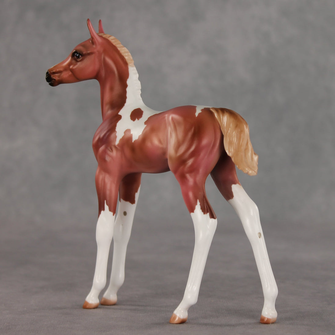 Strawberry Shake OOAK FCM Arabian Foal by Julie Keim VV26