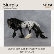 Sturgis OOAK Irish Cob by Madi Wiseman DDOOAKs26