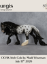 Sturgis OOAK Irish Cob by Madi Wiseman DDOOAKs26