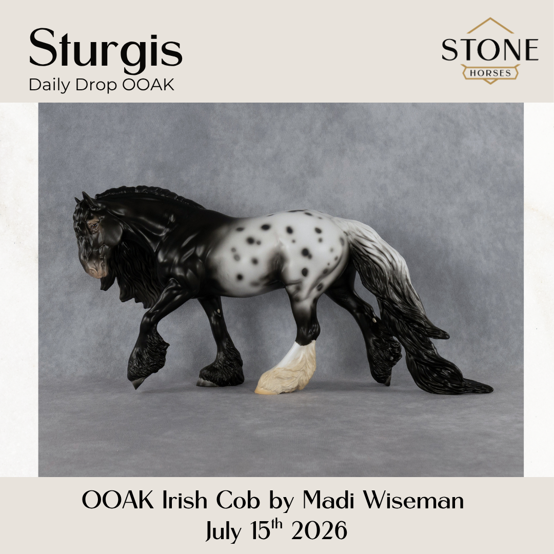 Sturgis OOAK Irish Cob by Madi Wiseman DDOOAKs26