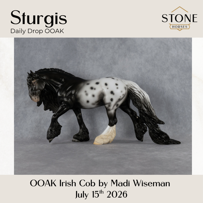 Sturgis OOAK Irish Cob by Madi Wiseman DDOOAKs26