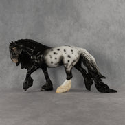 Sturgis OOAK Irish Cob by Madi Wiseman DDOOAKs26
