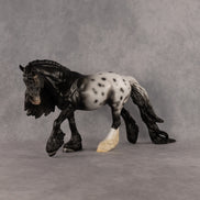 Sturgis OOAK Irish Cob by Madi Wiseman DDOOAKs26