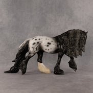 Sturgis OOAK Irish Cob by Madi Wiseman DDOOAKs26
