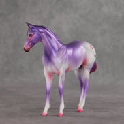 Sugarplum OOAK Stock Horse Weanling by Jess Hamill VV26