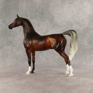 Design-A-Horse Silver Bay Arabian Stallion by The Stone Horses Team