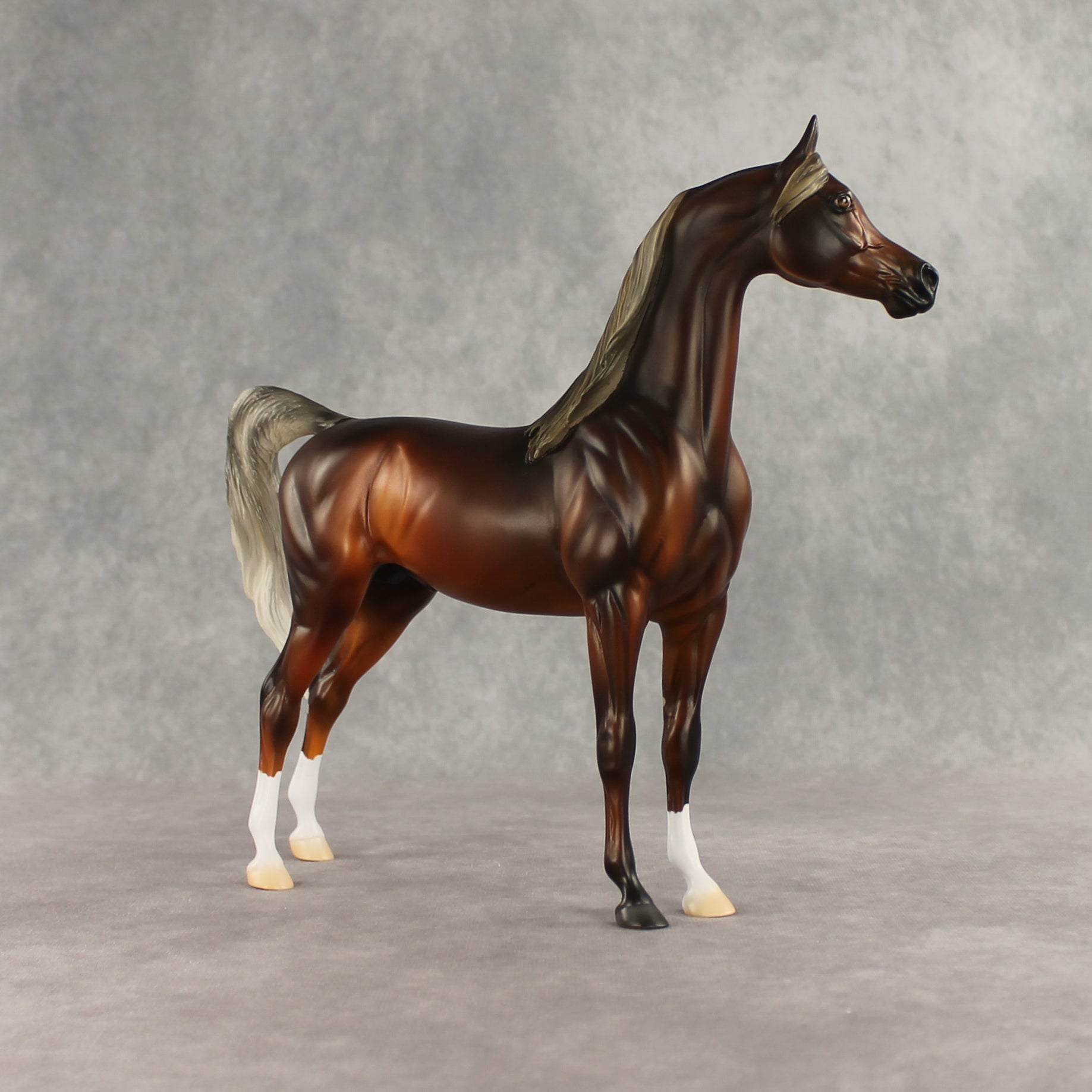 Design-A-Horse Silver Bay Arabian Stallion by The Stone Horses Team