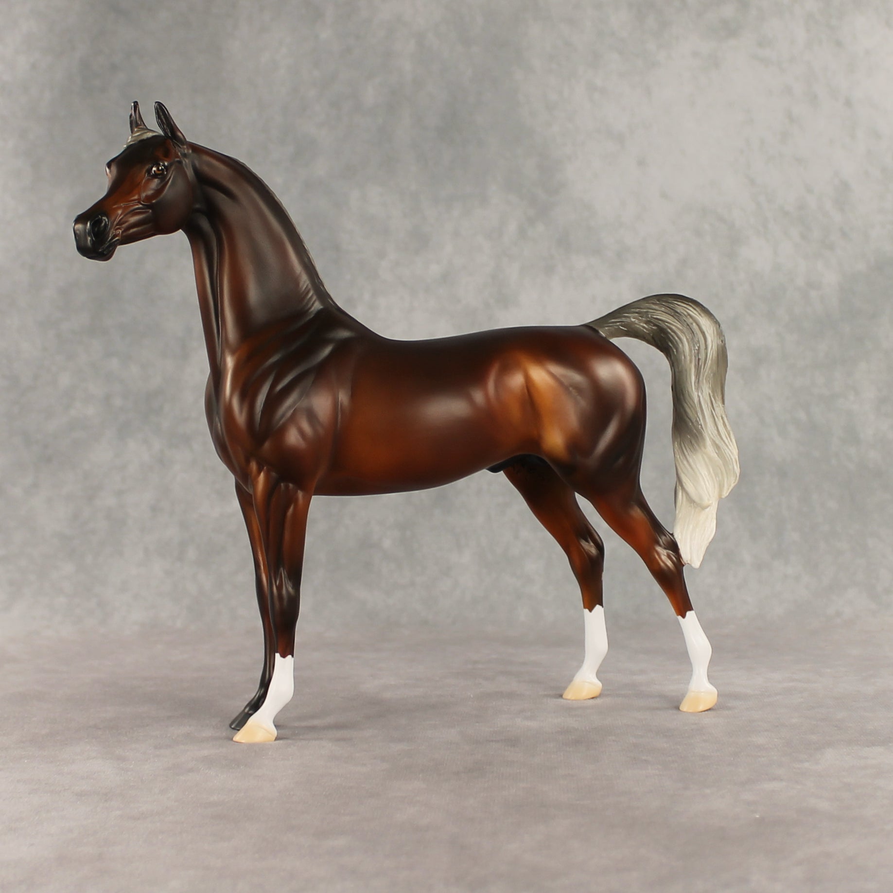 Design-A-Horse Silver Bay Arabian Stallion by The Stone Horses Team