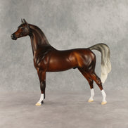 Design-A-Horse Silver Bay Arabian Stallion by The Stone Horses Team