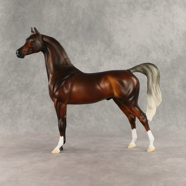 Design-A-Horse Silver Bay Arabian Stallion by The Stone Horses Team