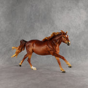 Summertime CJ LE-15 FCM Volo by Ellen Robbins & Melanie Miller EQ26