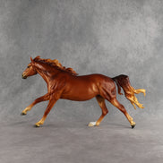 Summertime CJ LE-15 FCM Volo by Ellen Robbins & Melanie Miller EQ26
