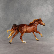 Summertime CJ LE-15 FCM Volo by Ellen Robbins & Melanie Miller EQ26