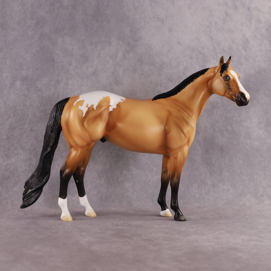 Sunny OOAK Ideal Stock Horse by Madi Wiseman EQ26