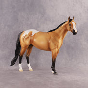 Sunny OOAK Ideal Stock Horse by Madi Wiseman EQ26