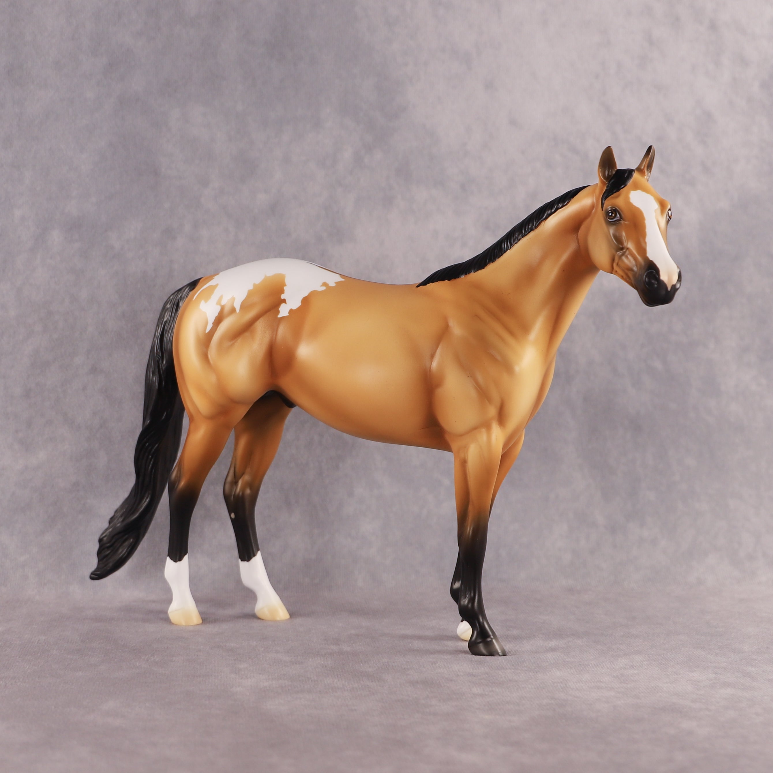 Sunny OOAK Ideal Stock Horse by Madi Wiseman EQ26
