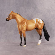 Sunny OOAK Ideal Stock Horse by Madi Wiseman EQ26