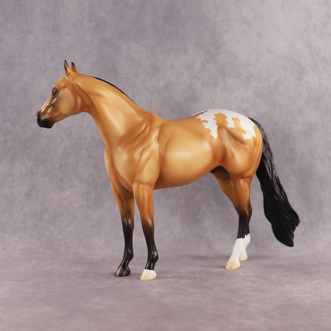 Sunny OOAK Ideal Stock Horse by Madi Wiseman EQ26