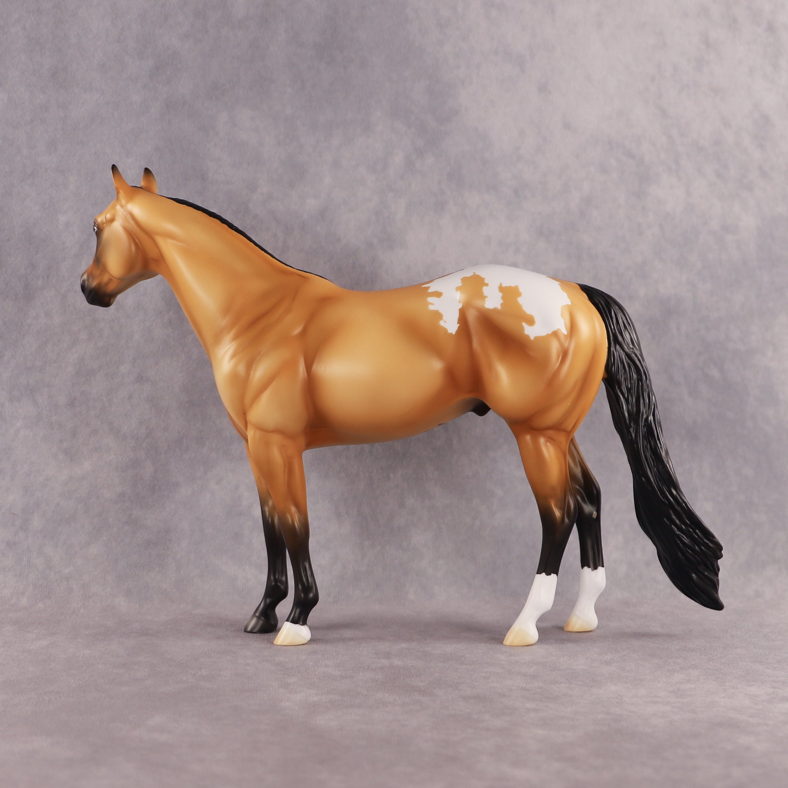 Sunny OOAK Ideal Stock Horse by Madi Wiseman EQ26