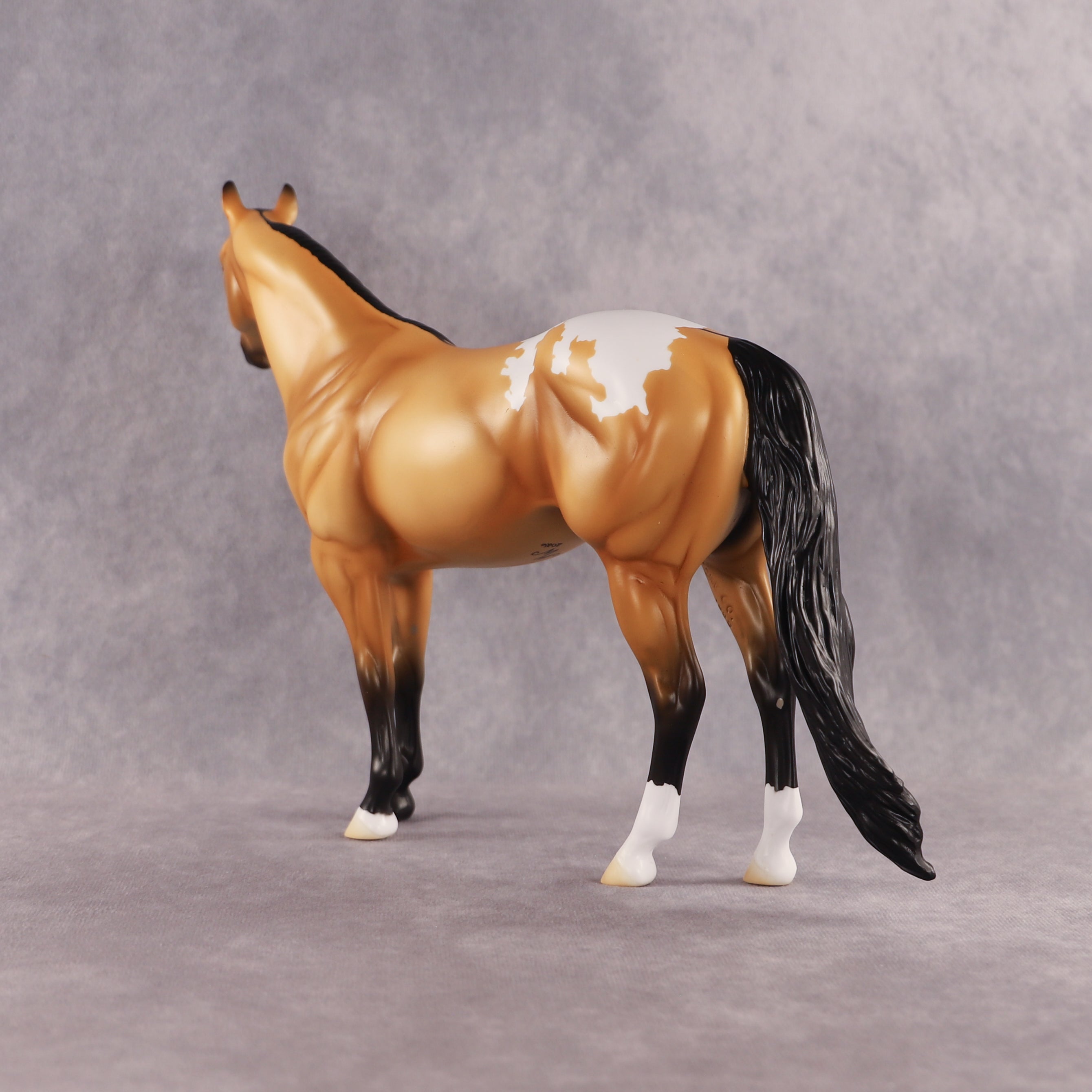 Sunny OOAK Ideal Stock Horse by Madi Wiseman EQ26