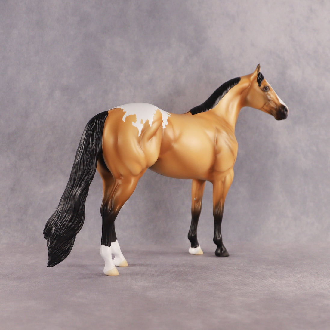 Sunny OOAK Ideal Stock Horse by Madi Wiseman EQ26