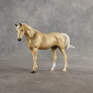 Sunny Side Up OOAK FCM Pebble Arabian Mare by Anna Rieck SHCF26