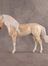 Sunrise OOAK FCM Andalusian by Erin Corbett EQ26