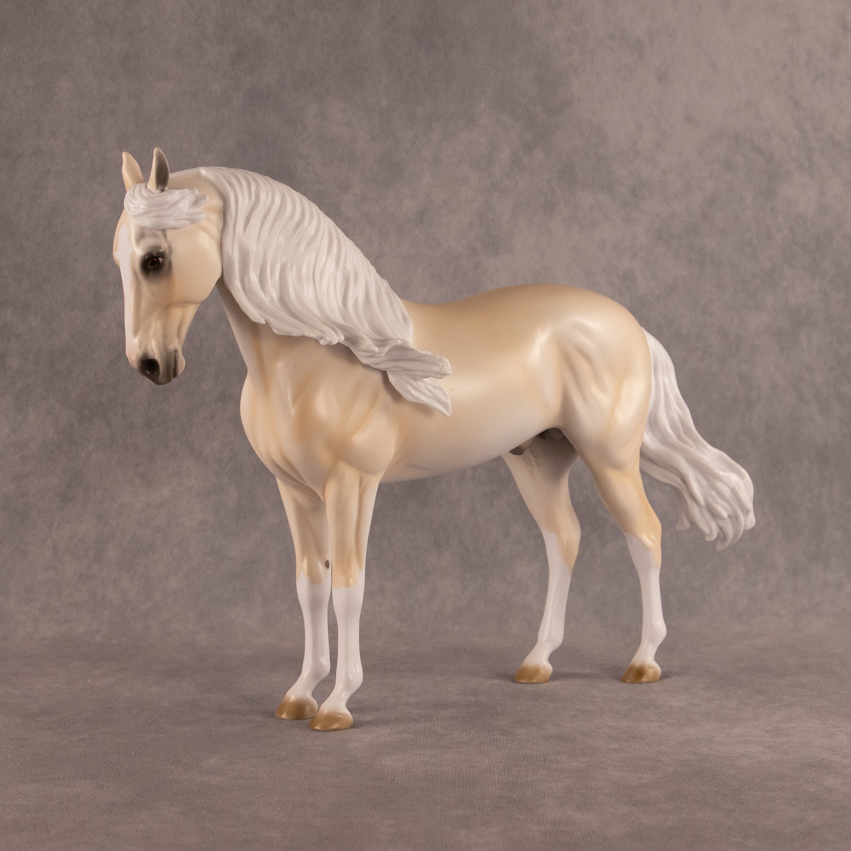 Sunrise OOAK FCM Andalusian by Erin Corbett EQ26