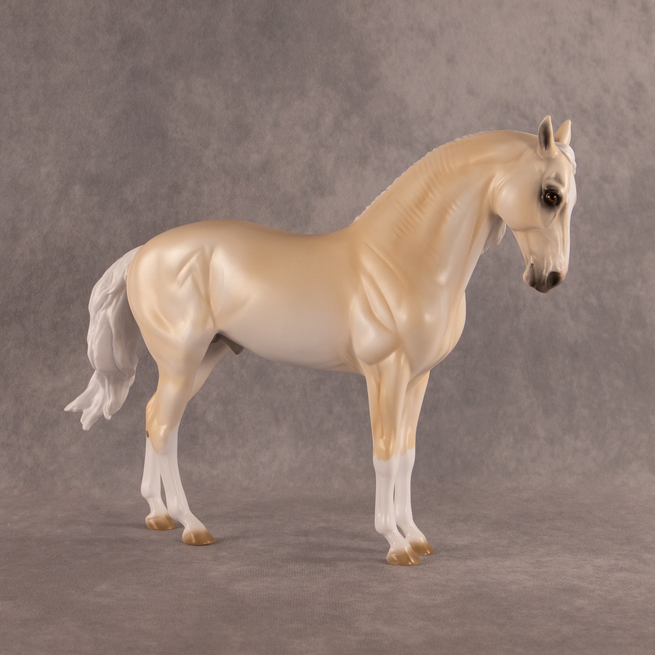 Sunrise OOAK FCM Andalusian by Erin Corbett EQ26