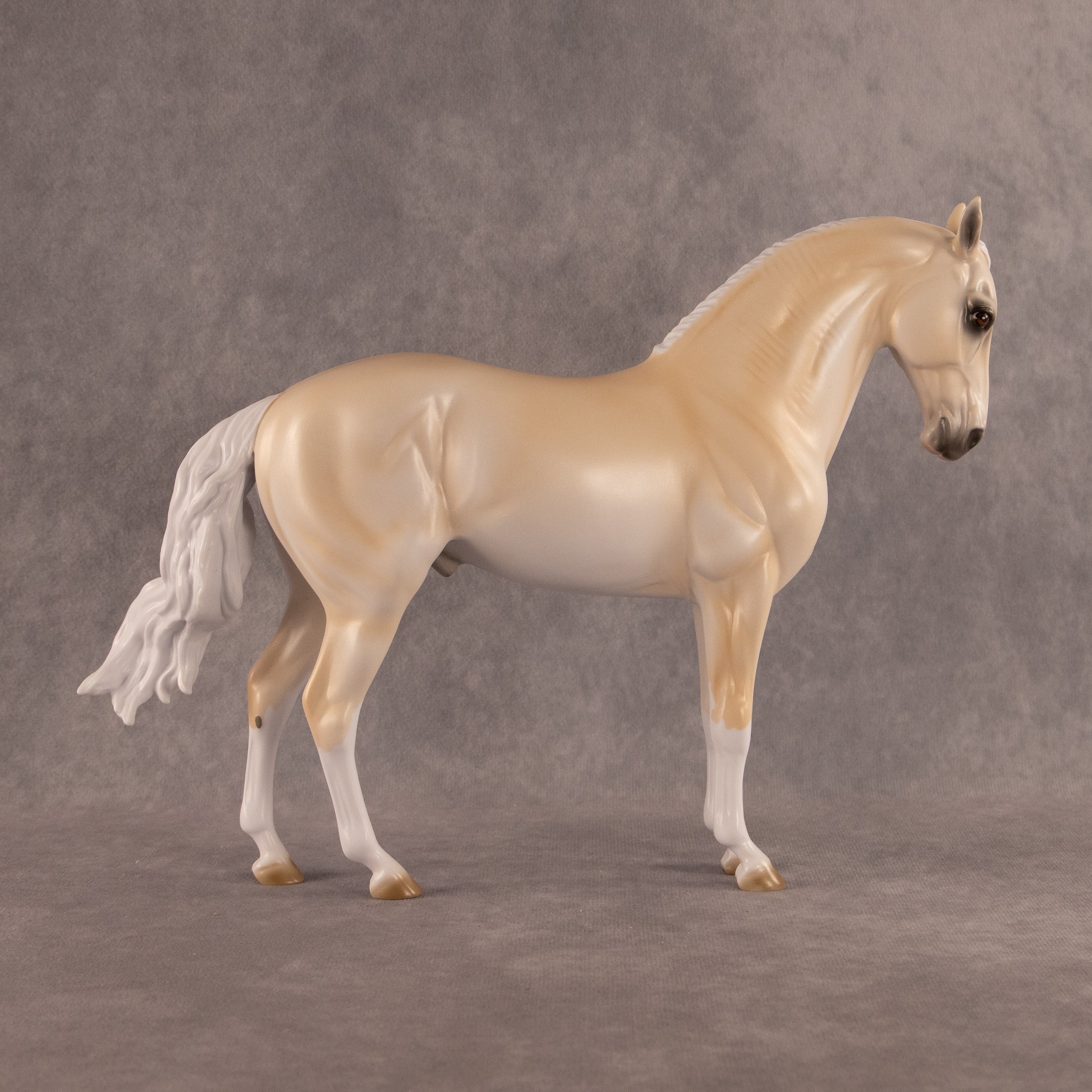 Sunrise OOAK FCM Andalusian by Erin Corbett EQ26