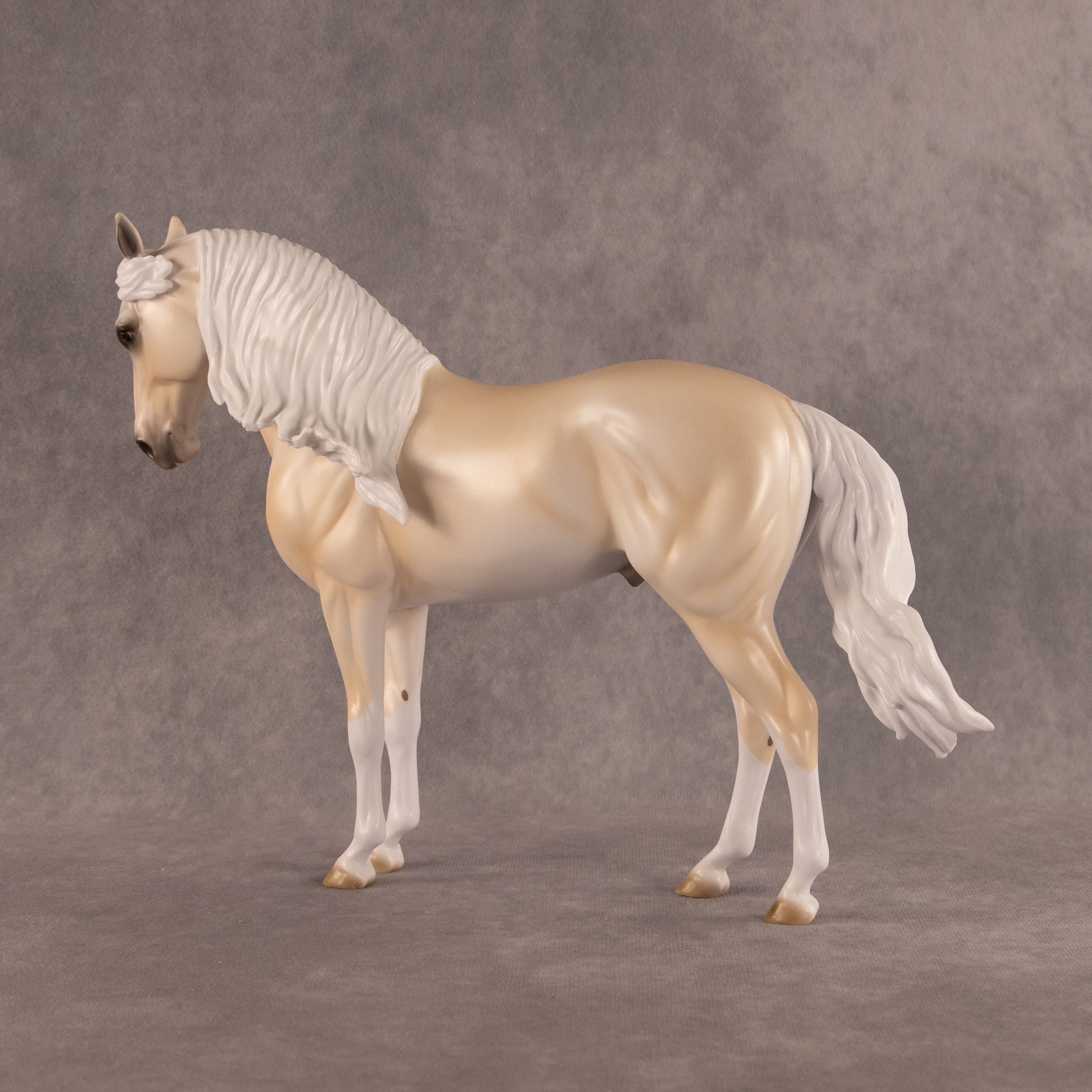 Sunrise OOAK FCM Andalusian by Erin Corbett EQ26