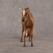 Sunset OOAK EFCM Chip Arabian by Kristen Cermele GS26