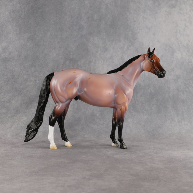 Surfer Dude OOAK Ideal Stock Horse by Madi Wiseman EQ26
