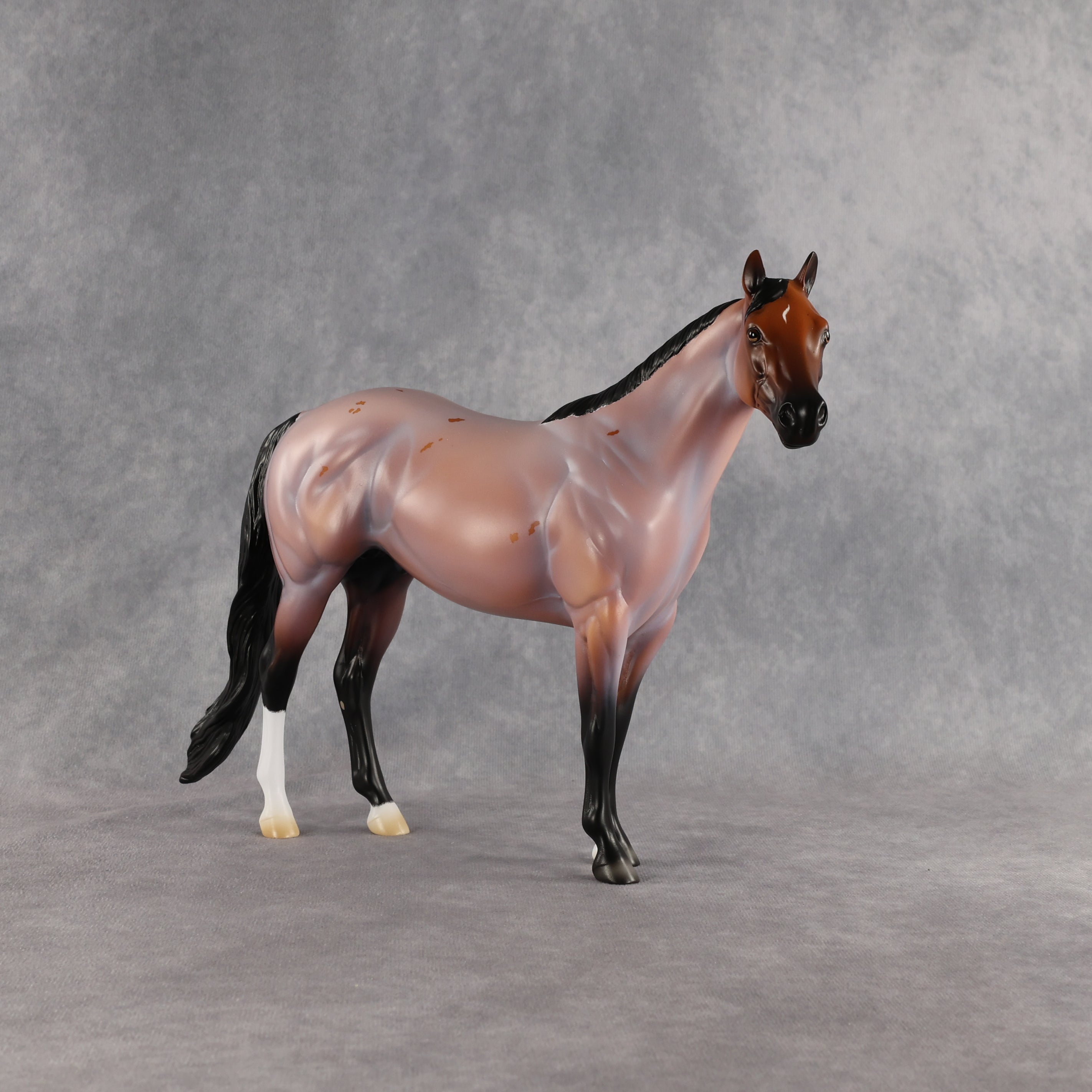 Surfer Dude OOAK Ideal Stock Horse by Madi Wiseman EQ26