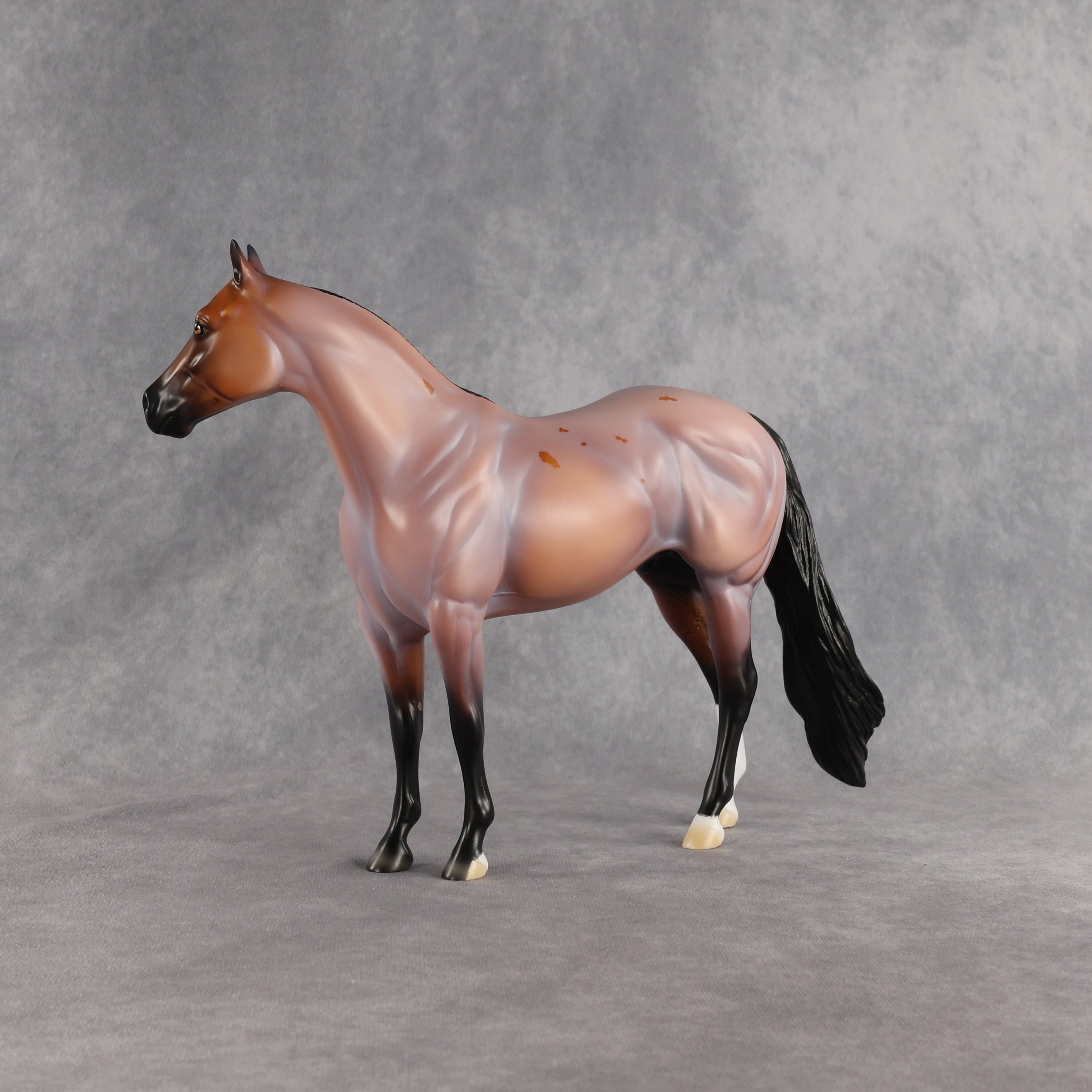 Surfer Dude OOAK Ideal Stock Horse by Madi Wiseman EQ26
